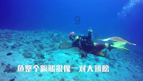 十里黄昏晚霞人纷纷是什么歌词
